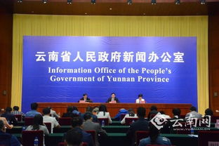 云南服務經濟倍增計劃 科技中介服務成為未來主攻方向